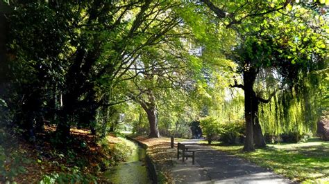 Woodland Walk Sign Stock Image Image Of Point Direction 124121075