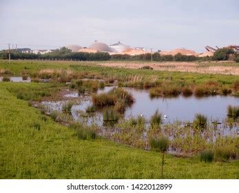 21 North Cave Wetlands Images, Stock Photos & Vectors | Shutterstock