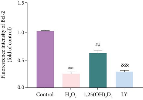 Oh D Upregulates The Expression Of Bcl And Downregulates The