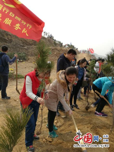 工行日照分行青年志愿者开展义务植树活动组图 山东日照 经济纵横 中国网 • 山东