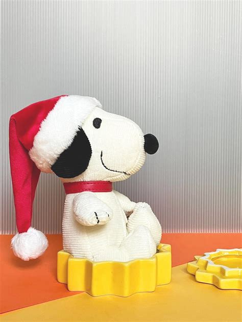 Bon Ton Toys Peanuts Dress Up Collectionsnoopy Cm