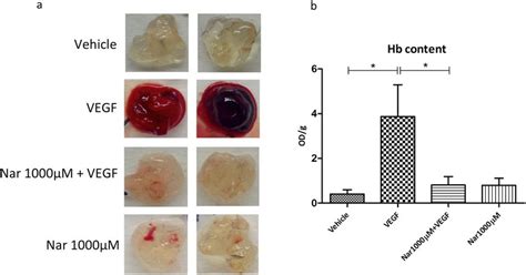 Naringenin Impairs In Vivo Vascularization Induced By VEGF In C57BL 6