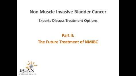 Non Muscle Invasive Bladder Cancer Experts Discuss The Future