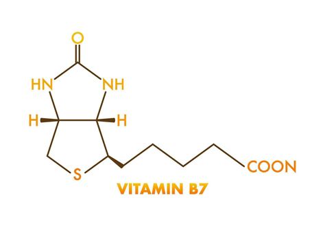 Vitamin b7 formula. Vitamin B7 biotin molecule. Skeletal formula. 29927234 Vector Art at Vecteezy