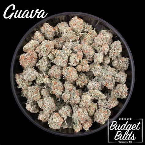 Category Sativa OZs Budget Buds