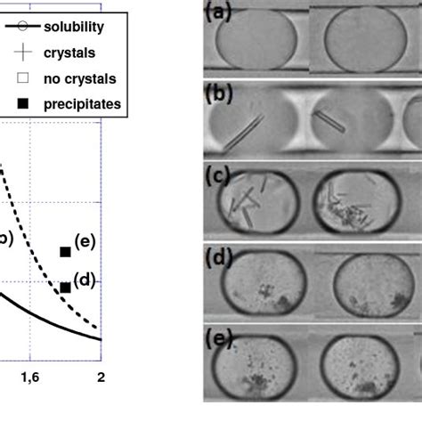 Solubility of QR2 versus (NH4)2SO4 at pH=8 (20mM Tris-HCl and 150mM ...