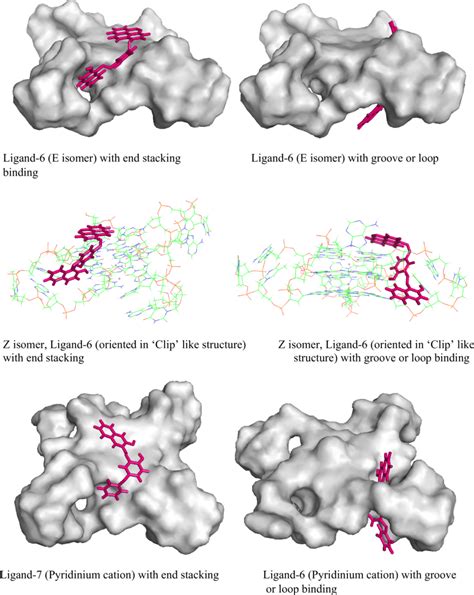 Simulation Calculations Performed Ligands With Mode Of Binding