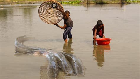 Best Asian Fishing Technique 🐟amazing Rural Fishing Video 🐟fishing