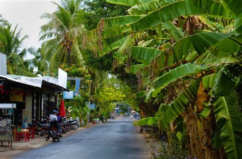 Rural Landscape At Ben Tre Mekong Delta Vietnam Green Banana Tree