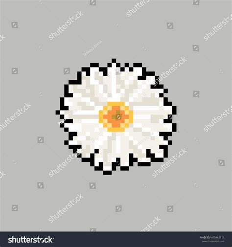 Daisy Vector Graphics Pixel Art 库存矢量图（免版税）1610385817 Shutterstock