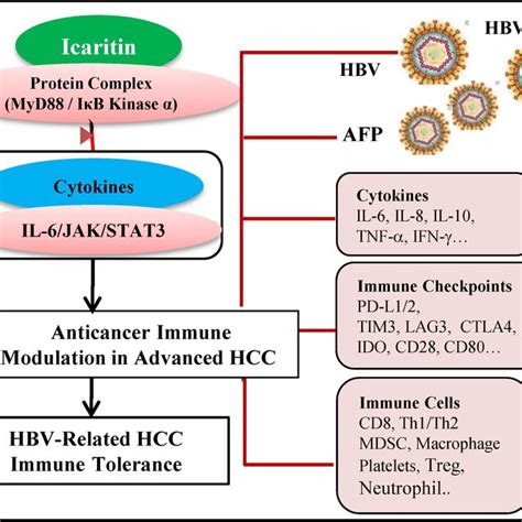 Immunomodulatory Anticancer Activities Of Icaritin In Advanced