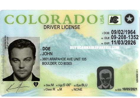 Alabama Fake Driver License Scannable Buy Scannable Fake Id Best Fake Ids Online