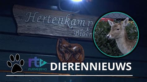 Hertenkamp Overvallen Door Nieuwe Wetgeving Ik Vind Het Heel Erg