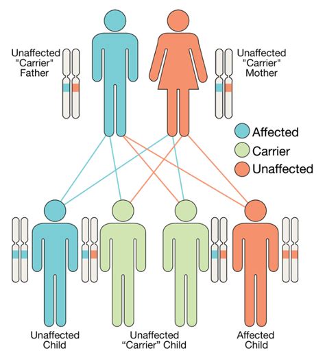 Autosomal Recessive I Thasso