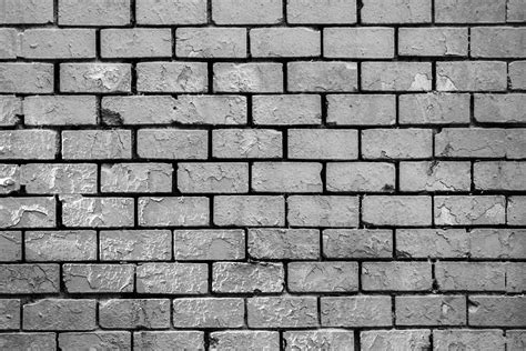 Brick Wall Graffiti Black And White