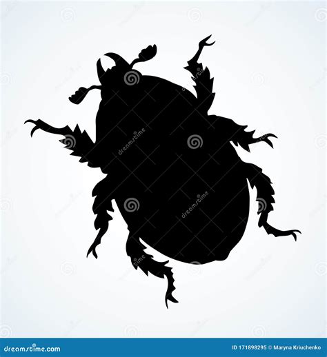 Chafer Vectortekening Van Een Grote Kever Vector Illustratie