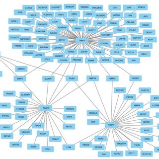 global interactome  timps timp  timp  timp   timp
