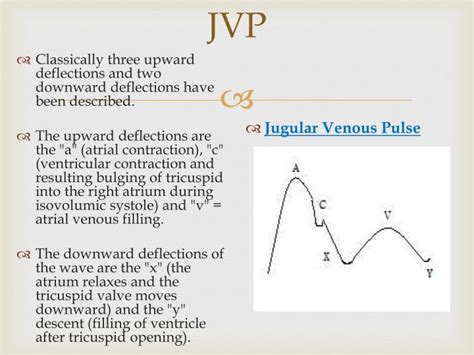 Ppt Jugular Venous Pressure And Carotid Arterial Pressure Powerpoint