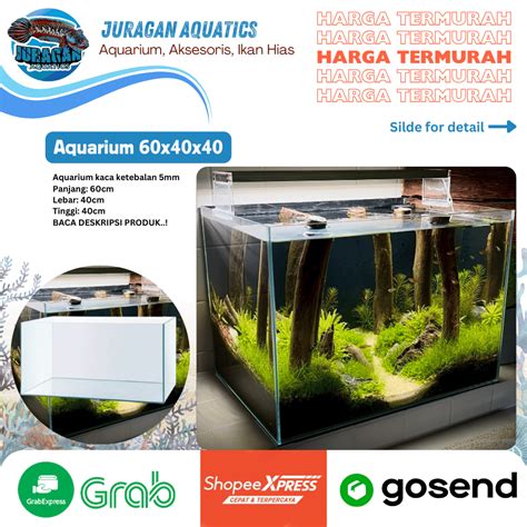 Jual Aquarium Kaca 60x40x40 Aquarium Akuarium Aquascape Ikan Hias Air