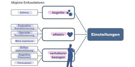 Sozialpsychologie 6 Einstellungen und Einstellungsänderungen