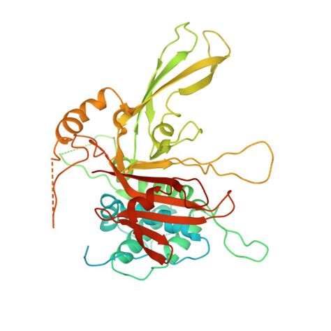 Gene P54578 Protein USP14 Overview CanSAR Ai