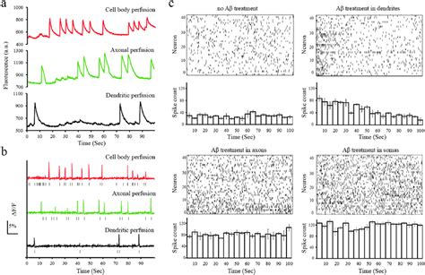 Changes Of Calcium Dynamics In Neurons With A Treatment In Different