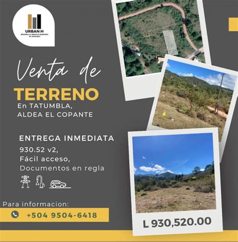 Terreno en Venta en El Copante Tatumbla Francisco Morazán 930 520