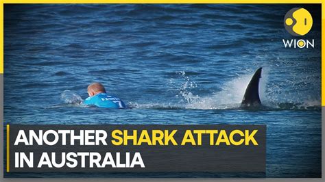 Missing Surfer Believed Dead After Australia Shark Attack Latest News Wion Youtube