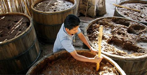 Process Of The Tequila