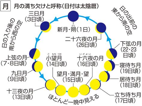 新月 シンゲツ とは 意味や使い方 コトバンク