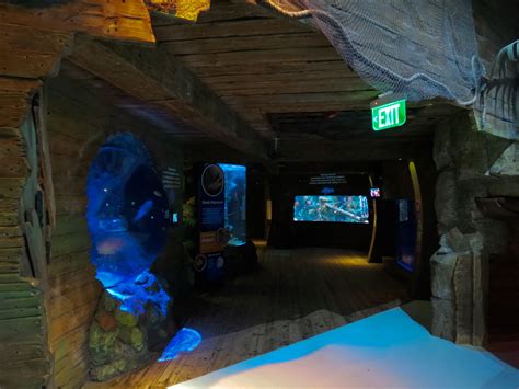 Shark Shipwreck Exhibits - ZooChat