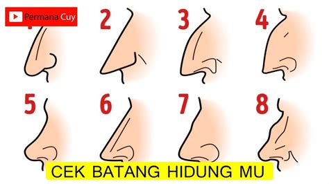 Macam Bentuk Hidung – Sinau