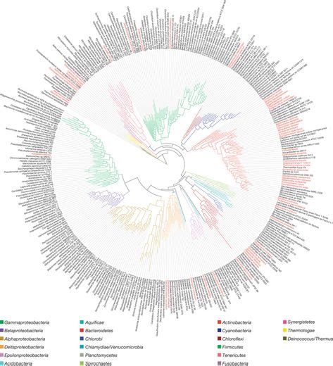 31 Best Edward Tufte Images Edward Tufte Data Visualization