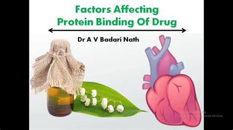 Factors Affecting Protein Binding Of Drugs Youtube