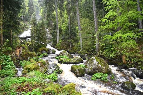 Triberger Wasserf Lle Das Naturerlebnis Im Schwarzwald People Abroad