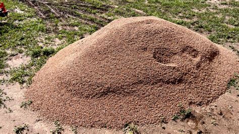 Transforming Your Horse Pens Tackling Mud And Creating A Solid