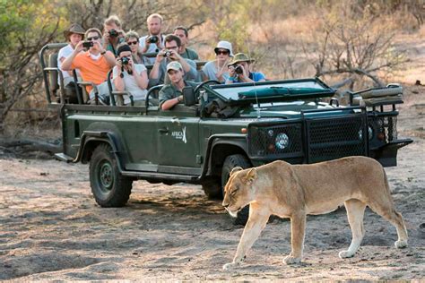 Safaris na África do Sul O Viajante