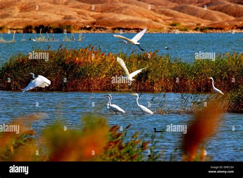 Yumen China S Gansu Province The Wetland Protection Area Of China