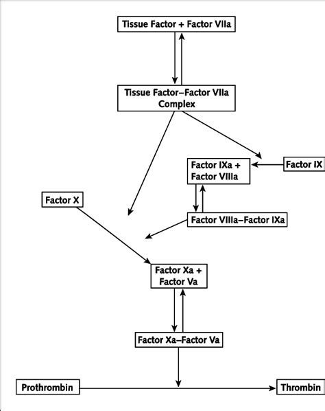 The tissue factor pathway activation of coagulation. | Download ...