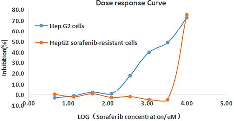 Frontiers The Ribosomal Protein L28 Gene Induces Sorafenib Resistance