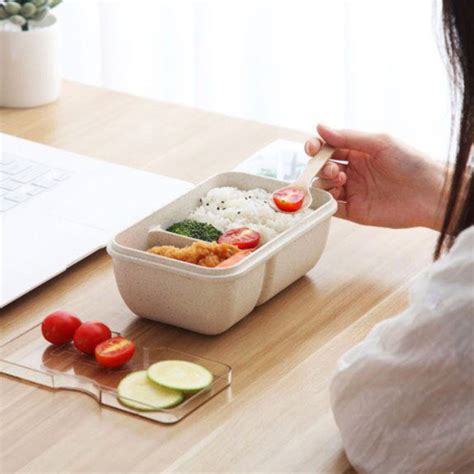 Xubond Lunch Solution with Compartments For Meals And Snacks The GO