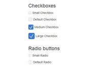 Jquery Radio Button Plugins Jquery Script