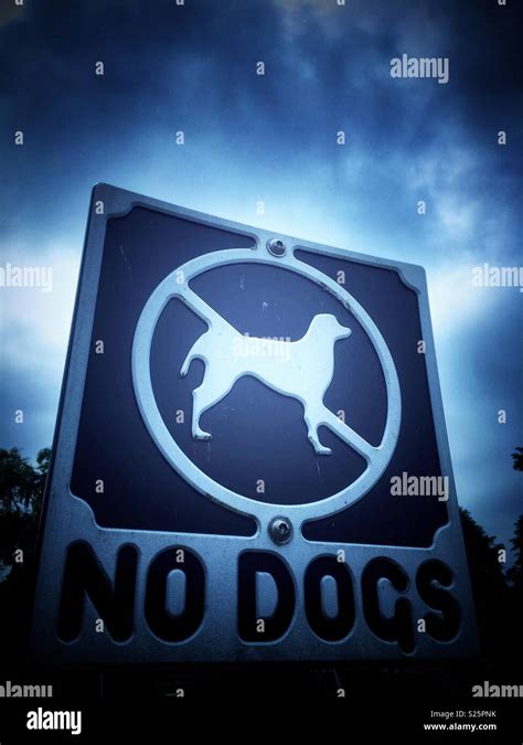 dogs sign stock photo alamy