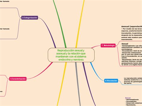 Reproducción Sexual Y Asexual Y La Relació Mind Map