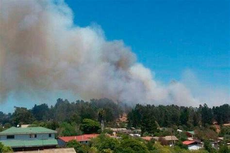 Onemi Decreta Alerta Amarilla En El Quisco Por Incendio Forestal La