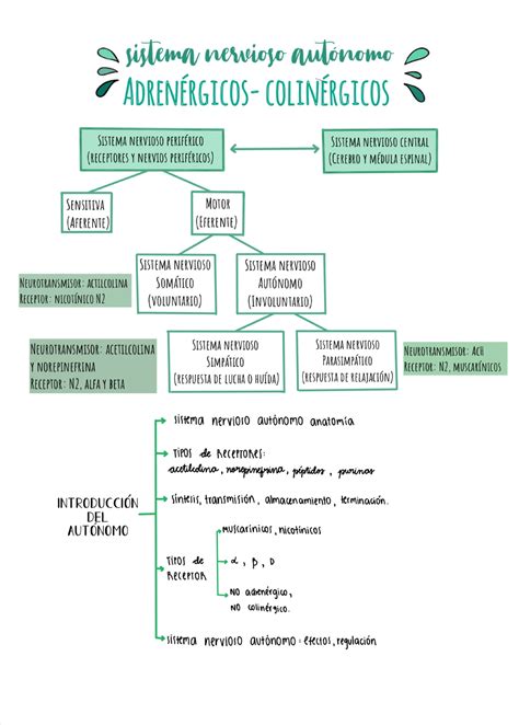 Farma Do Parcial Apuntes Farmacologia Studocu