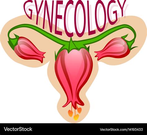 Gynecology logo Royalty Free Vector Image - VectorStock