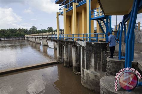 Akibat Saluran Irigasi Dimatikan Produksi Ikan Turun 30 Persen