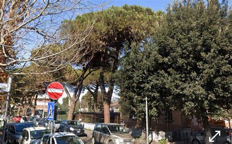 Ostia Antica Bonifiche Tra Via Gamurrini E Via Ducati Approvato Lodg