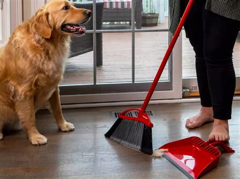 O-Cedar Broom & Step-On Dustpan Set Just $14.69 on Amazon (Reg. $20) | Over 7,000 5-Star Reviews ...